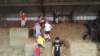 img_20180611_102003_small.jpg
