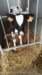 img_20180611_102149_small.jpg