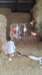 img_20180611_103641_small.jpg