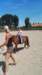 img_20180611_140012_small.jpg