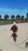 img_20180611_140200_small.jpg