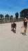 img_20180611_141440_small.jpg