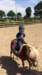 cf98c7914e53a63fccdb4c667e18_small.jpg