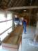 p1030527_small.jpg