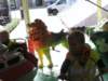 bild0071_small.jpg
